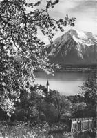 Hilterfingen BE Thunersee Niesen Seeblick mit Kirche G