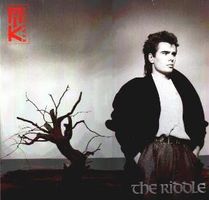 Nik Kershaw The Riddle LP