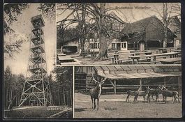 Winterthur, Bruderhaus, Wildpark und Aus