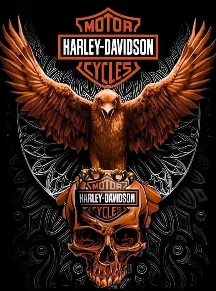 Foulard & Sciarpe: Tour de cou Harley Davidson J178 – Nuovo e nell'imballaggio originale da Allens venduto da MADE.IN.ROCK.N.ROLL