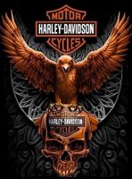 Tour de cou Harley Davidson J178