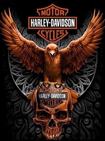 Tour de cou Harley Davidson J178