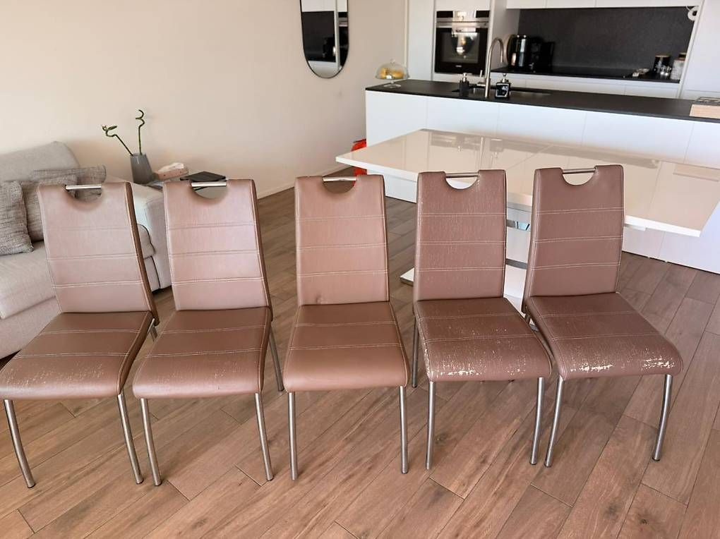 Sedie: 5 sedie conforama – Usato da Massagno venduto da yih_7n8s