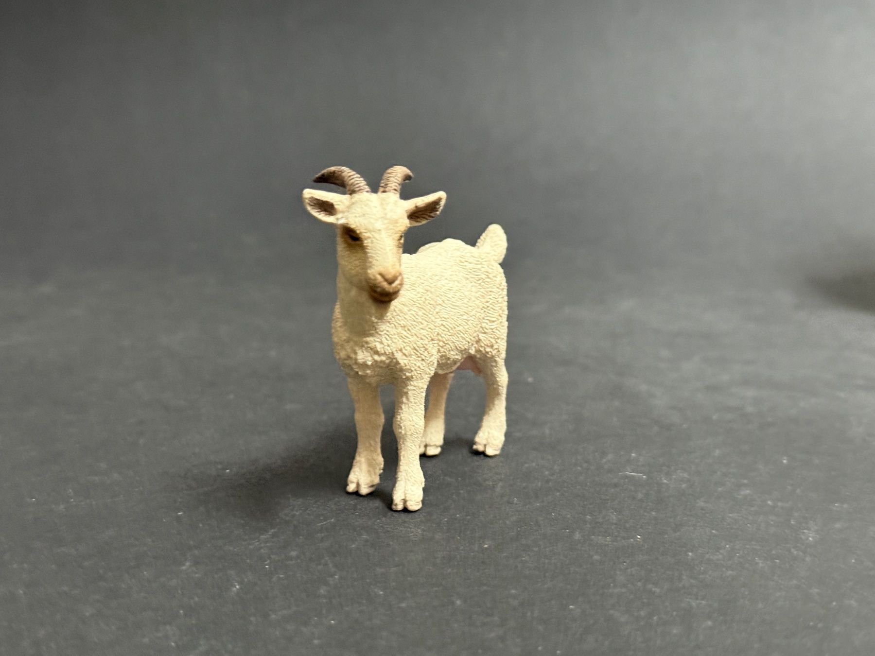 Schleich Statuette: Schleich Tier Schneeziege Ziege – Usato da Ennetbaden venduto da mapa05 3