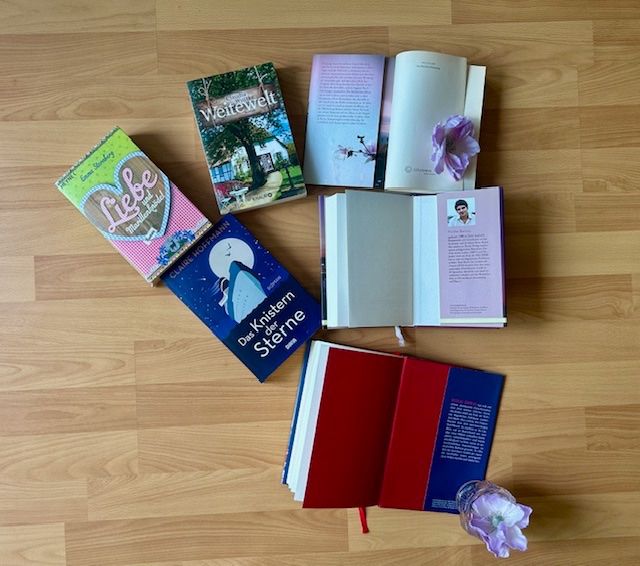 Libri: Emma Sternberg, Claire Hoffmann, Nicolas Barreau, Micaela... – Usato da Bern venduto da Denzel8 8