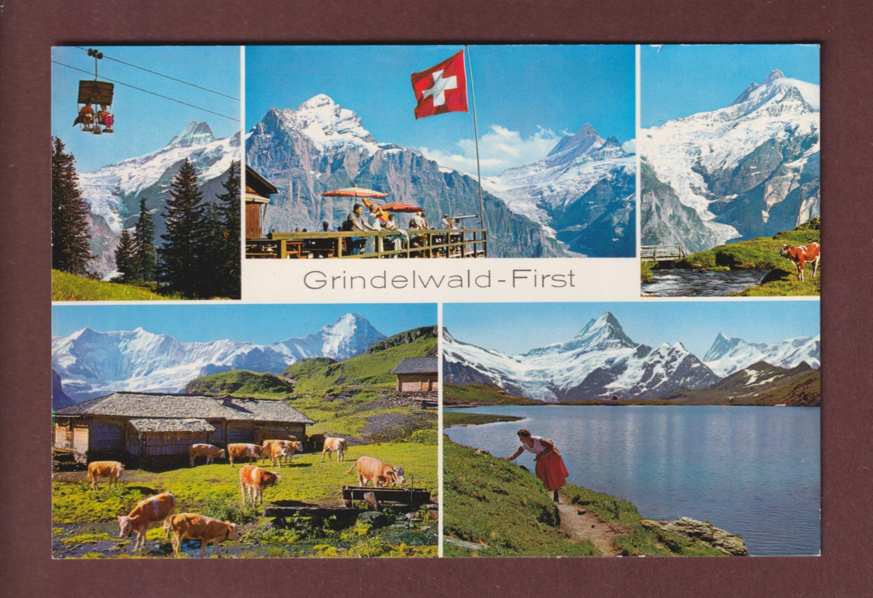 Cartoline postali: GRINDELWALD-FIRST - 5 Bilder – Usato da Pully venduto da nicecards-shop