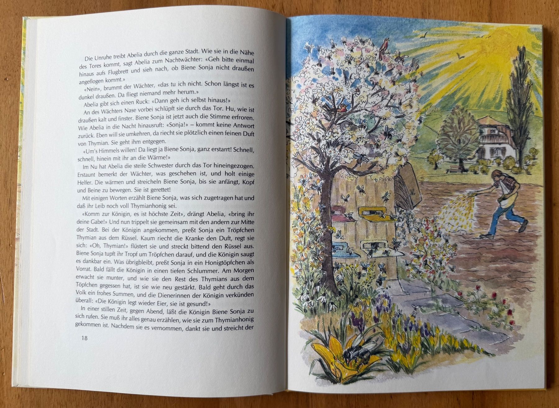 Libri: Bilderbuch. KLEINE BIENE SONNENSTRAHL – Usato da Starrkirch-Wil venduto da heidiml 1