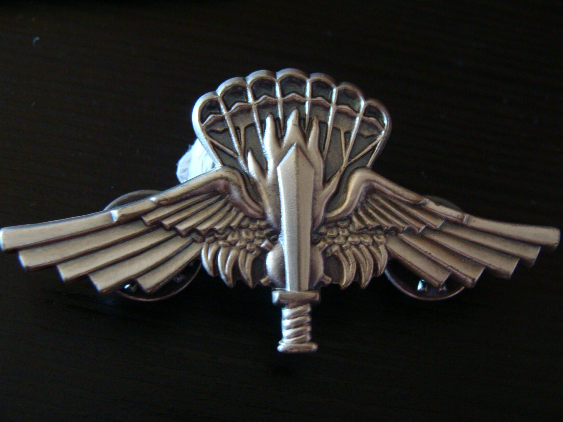 Placchette & Badge: Petit lot armée Italie, anciens – Usato da Cuarny venduto da hen_g7hn 2