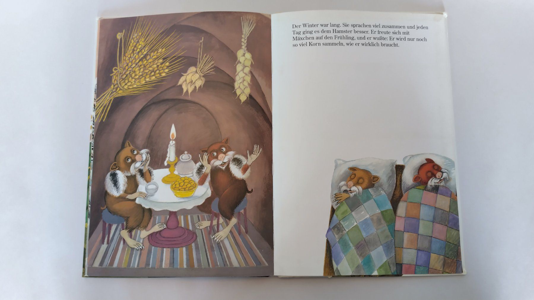 Libri: Mäxchen der Hamster /  Bilderbuch 1991 ab Fr. 8.- – Usato da Bellach venduto da JingleJerry 7