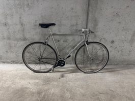 Singlespeed Rennvelo