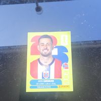 panini