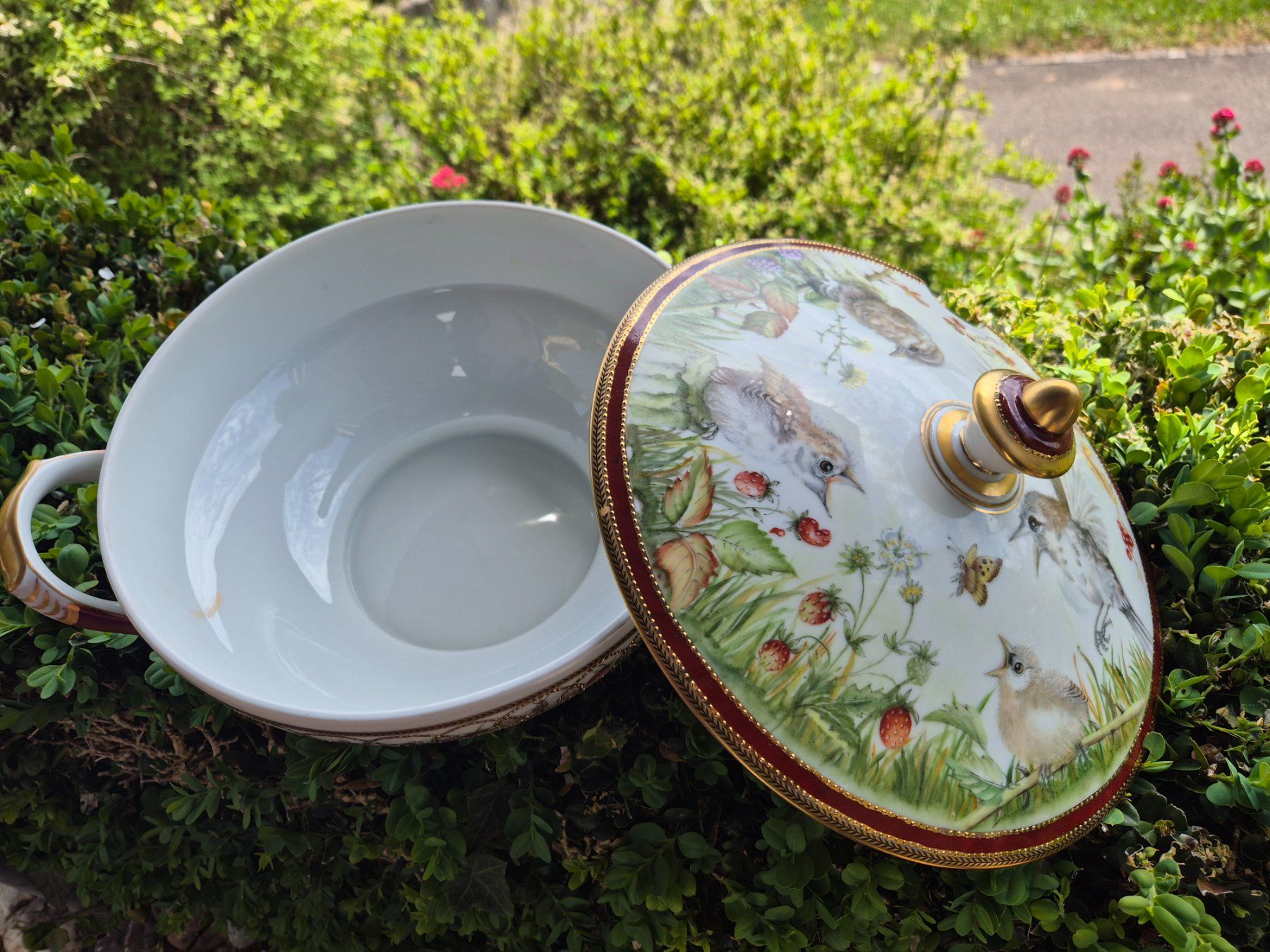 Ciotole: Einmalig schöne Suppenschüssel mit Deckel, handbemalt – Usato da Thun venduto da tinu2031 3