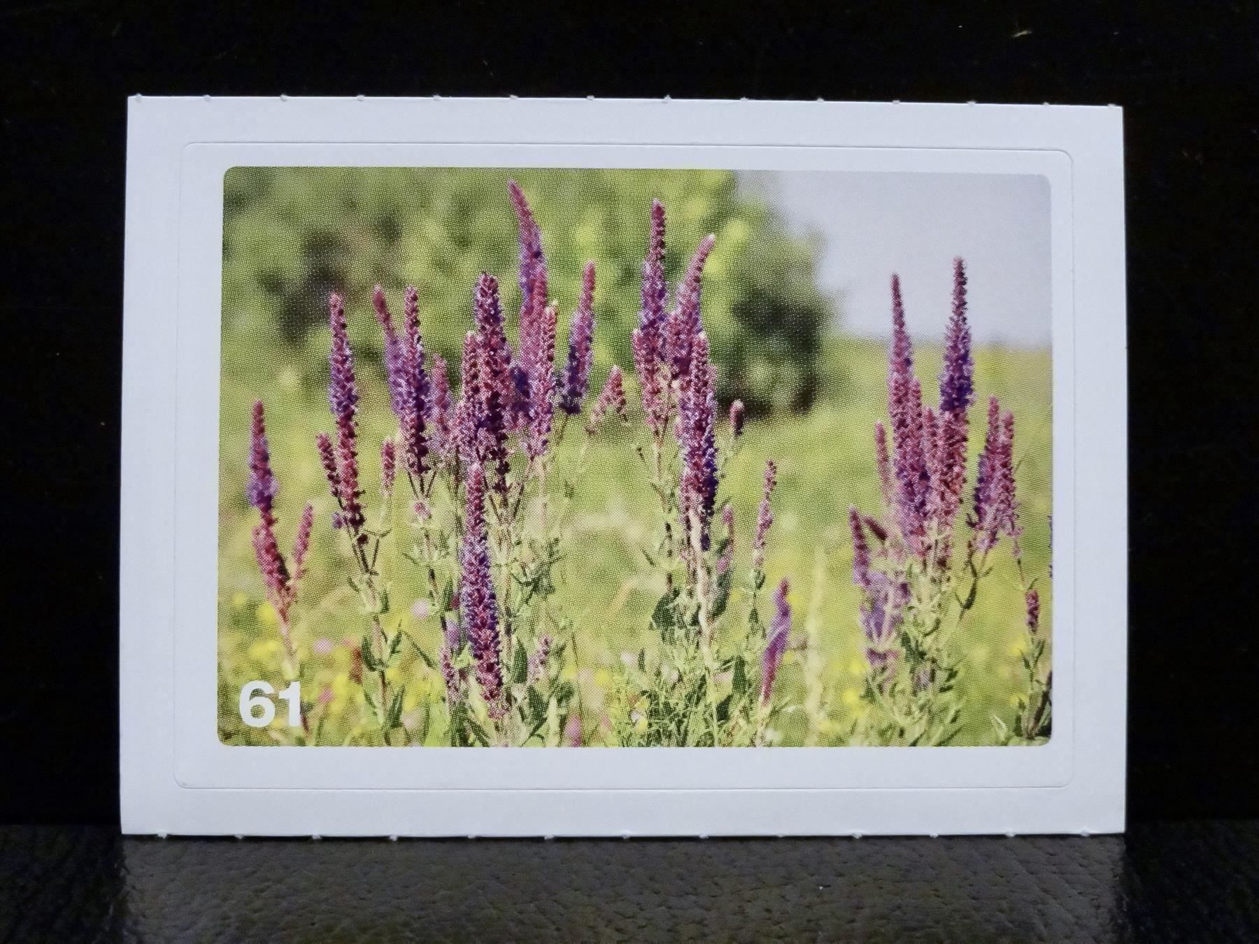 Migros Cartes à collectionner: MIGROS MANIA Nature Detectives Nr. 61 – D'occasion à Kerzers par zimmergruen