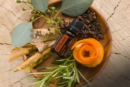 doTERRA On Guard-Schützende Mischung 15ml AUSVERKAUF!!!!!!!!