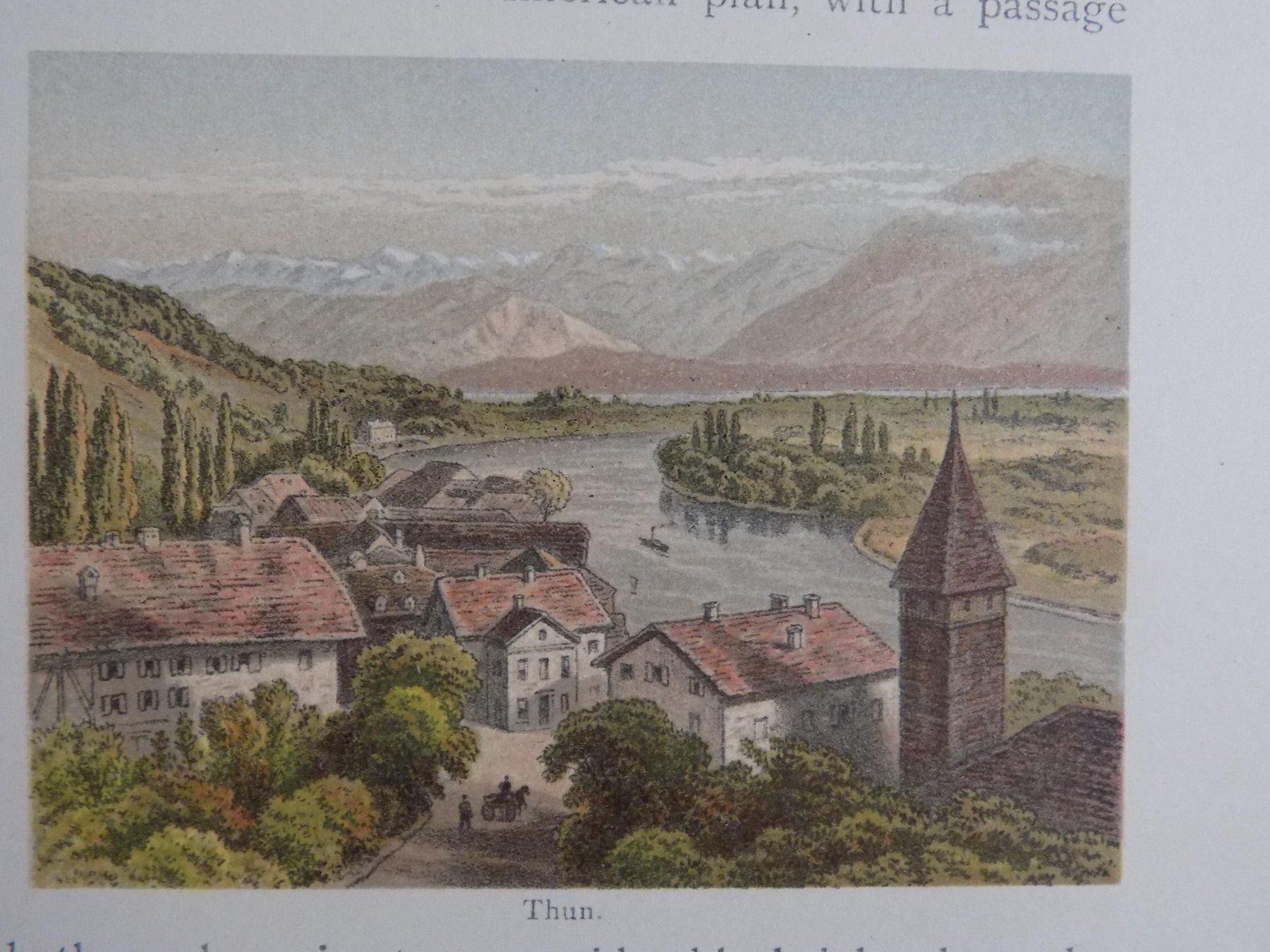 Incisioni: Thun kolorierte Xylographie – Usato da Risch venduto da Antikfee 4
