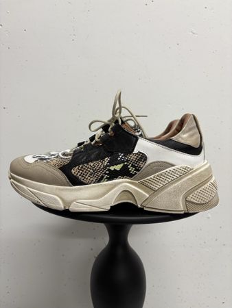 Mjus chunky Sneaker Gr. 40 Leder beige Snake animal used