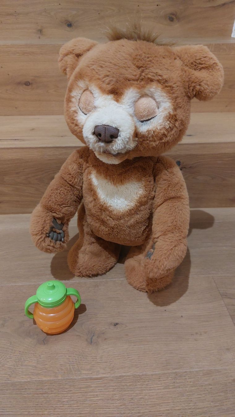 FurReal Jouets: FurReal Bär – D'occasion à Adlikon par NoeliaMina