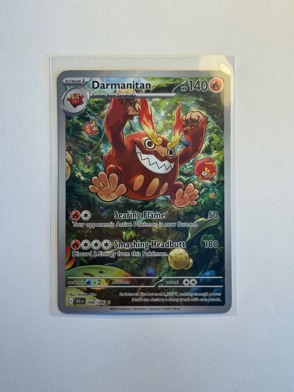 Pokémon Carte collezionabili: Pokémon Darmanitan 098/086 – Usato da Münsingen venduto da mar_n5jw