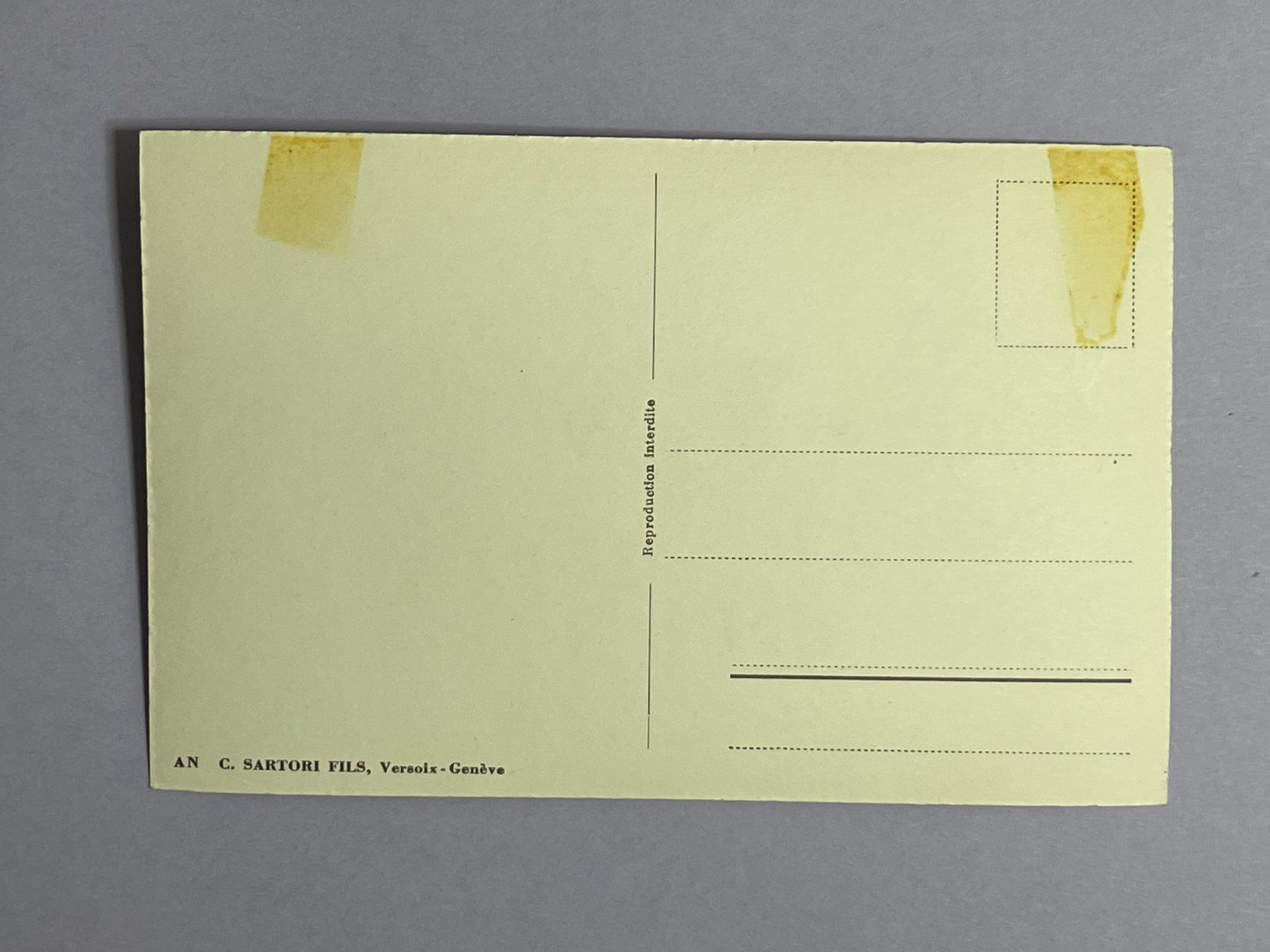 Cartoline postali: Nyon et le Mont-Blanc – Usato da Steg VS venduto da danwer74 1