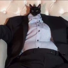 Profile image of Nenemydog