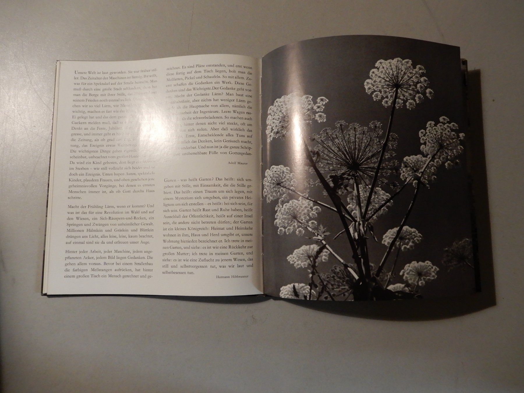 Libri: O komm, Gewalt der Stille – Usato da Erstfeld venduto da Mario_boe0 6