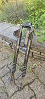 Pony Cross GT Gabel