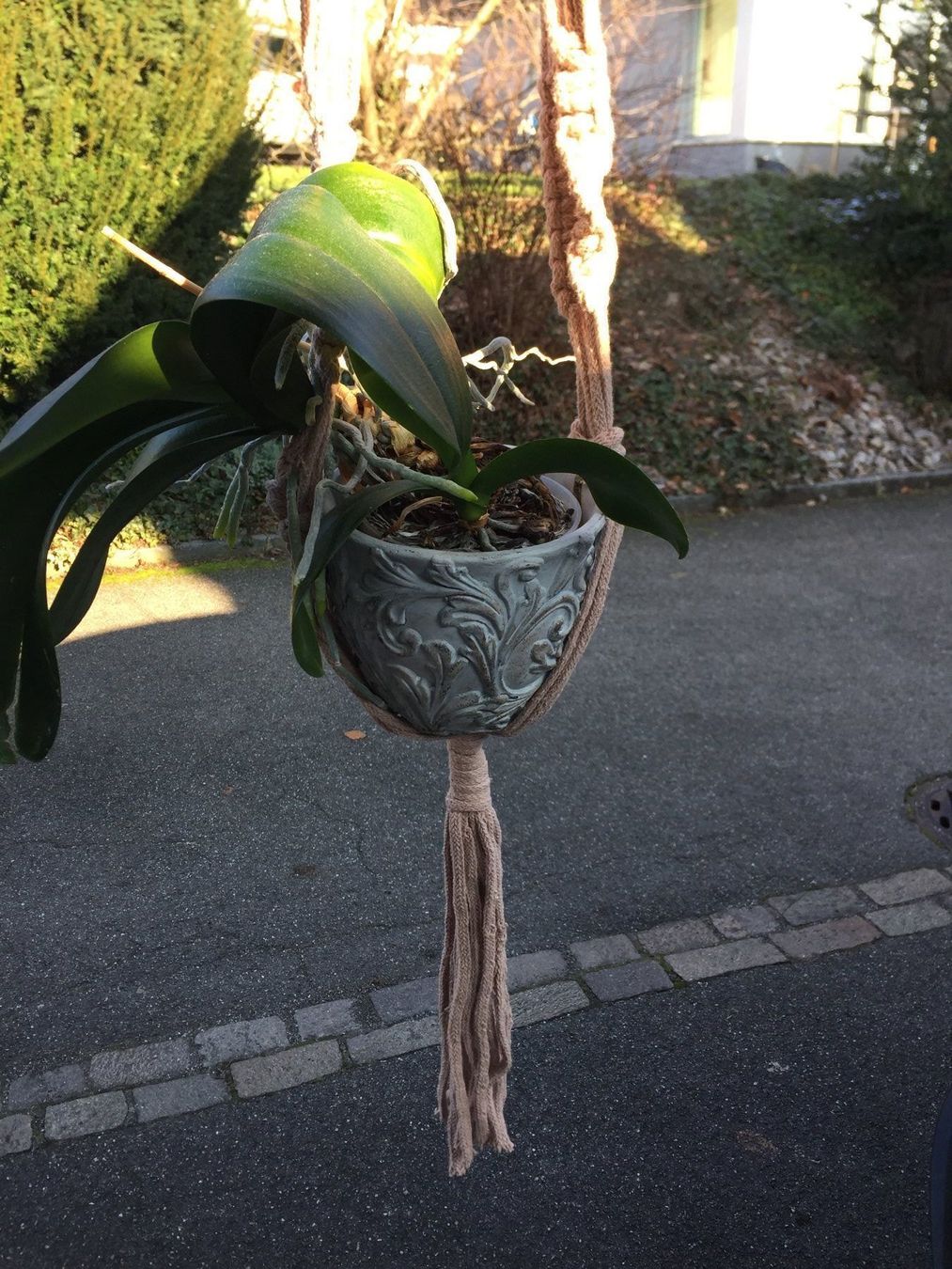 Vasi per fiori: Makramee für Blumen Farbe rose – Nuovo e nell'imballaggio originale da Kirchdorf AG venduto da coco123