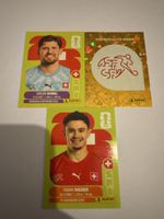 Panini WM 2026