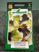 Samen Mauser - Salat Eazy leaf Mischung