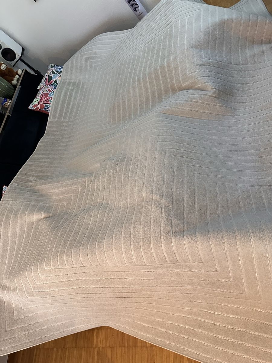 Teppiche: Benuta Teppich Mars Cream 240 x 340 cm – Gebraucht aus Gränichen von krz_lth9 2