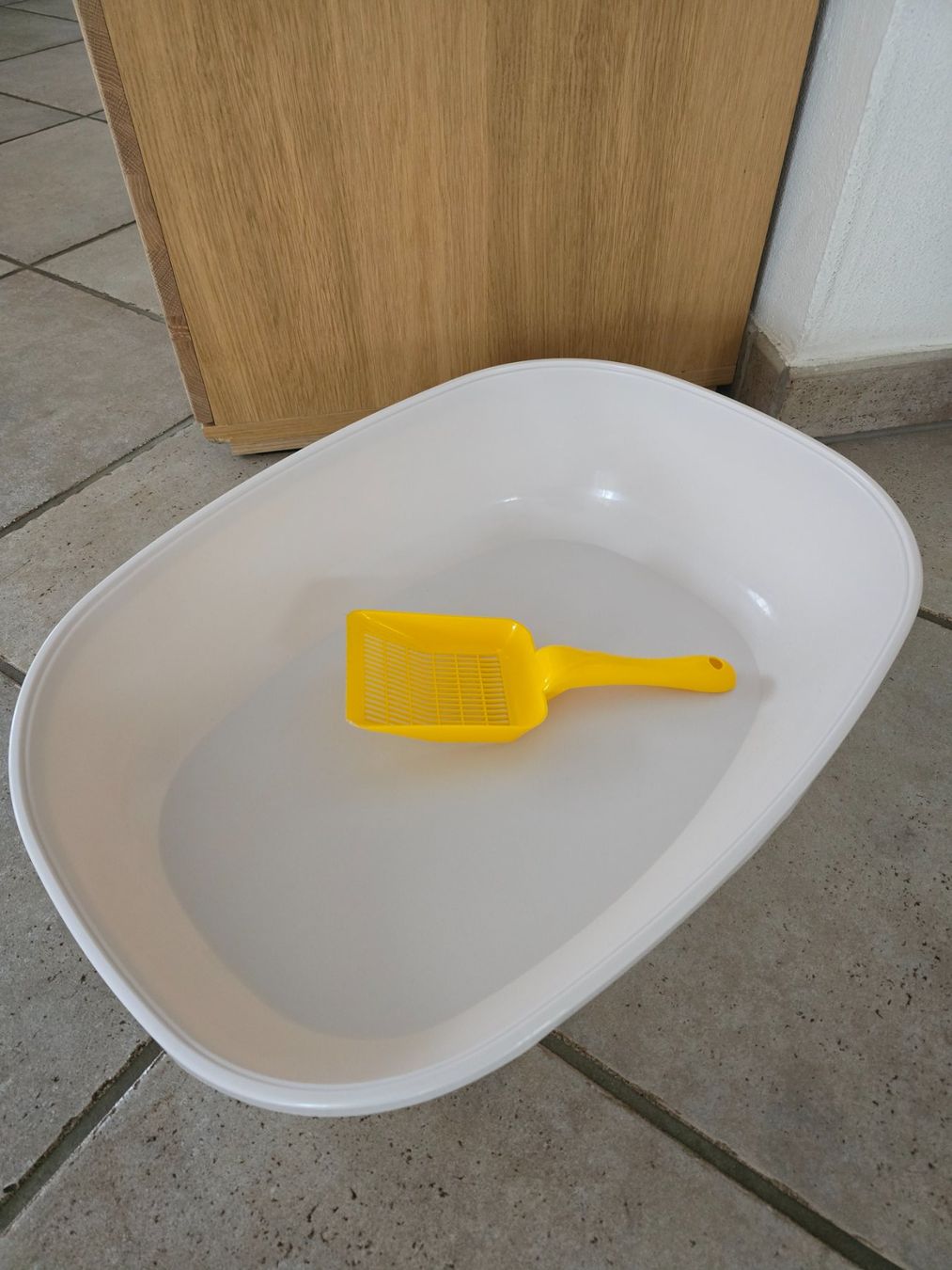 WC: Katzenklo – Nuovo (secondo la descrizione) da Domat/Ems venduto da blu_29b7