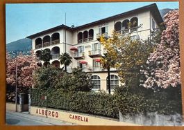 Locarno - Muralto - Hotel Camelia