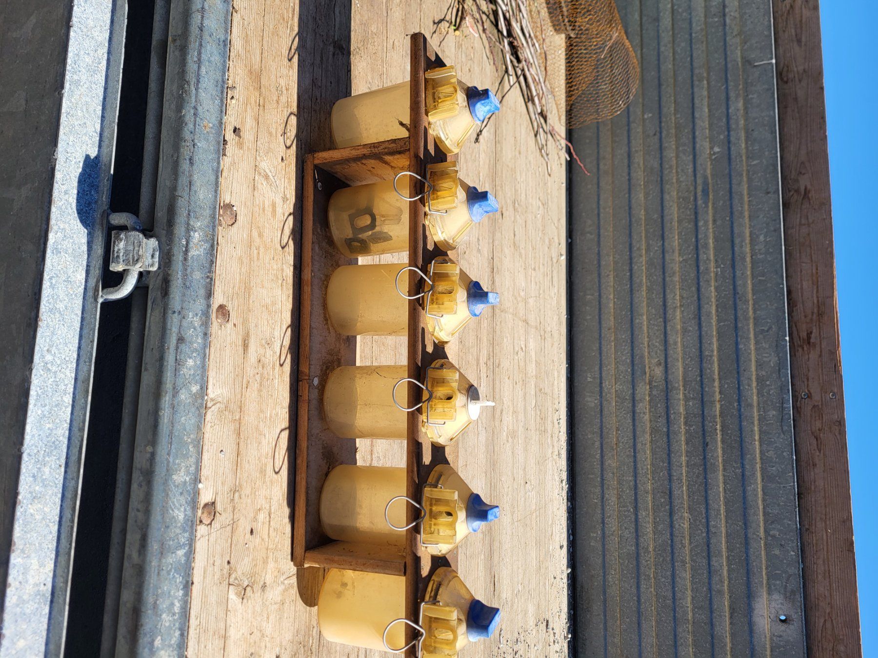 Delaval Misurare: Messbecher zu Melkstand Delaval Alpro – Usato da Belpberg venduto da Ernstw123 3