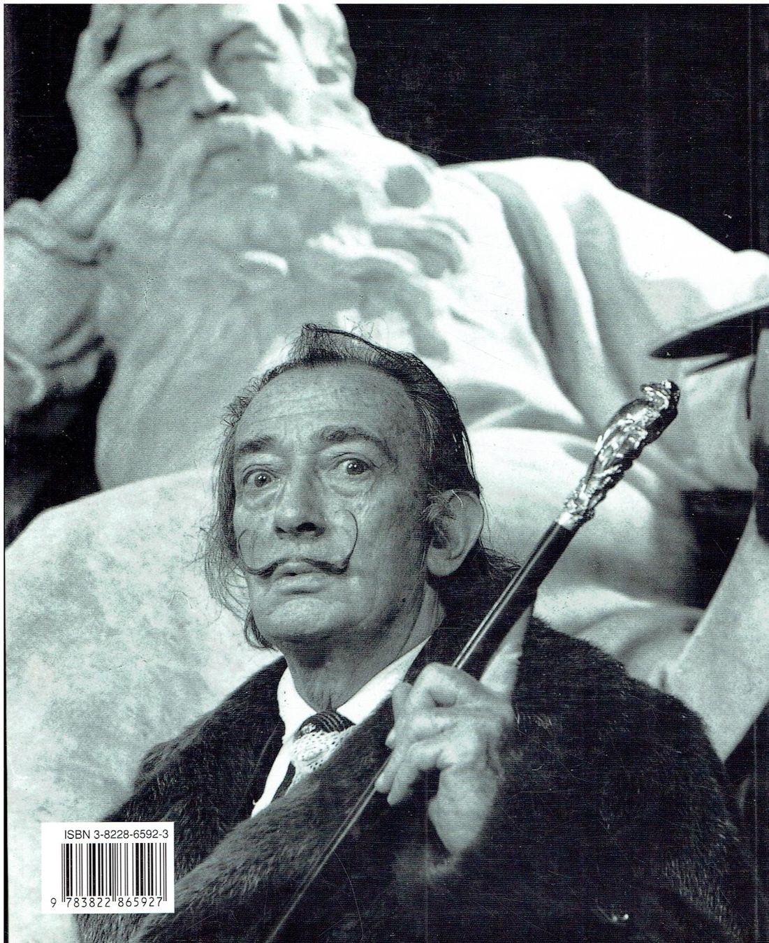 Libri: DALI – Usato da Flims - Dorf venduto da Stagediver 1