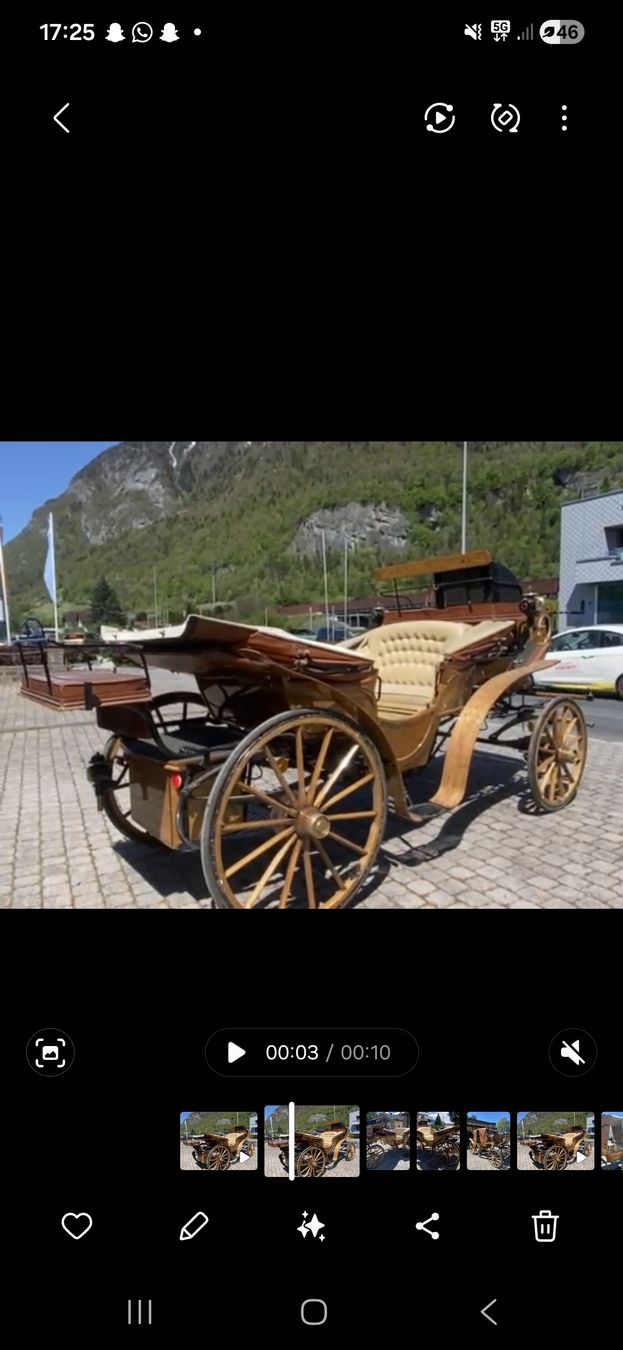 Carrozze: Dressur wagen Franc visavi – Usato da Sargans venduto da aze_kf6w 6