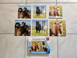 Puzzles horse 3x49 pieces / age 4-5 up (Ravensburger)