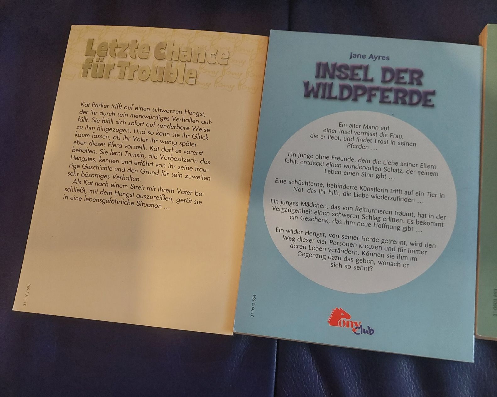 Libri: Bücher Pferde Jane Ayres – Usato da Belp venduto da masterdriftking 3