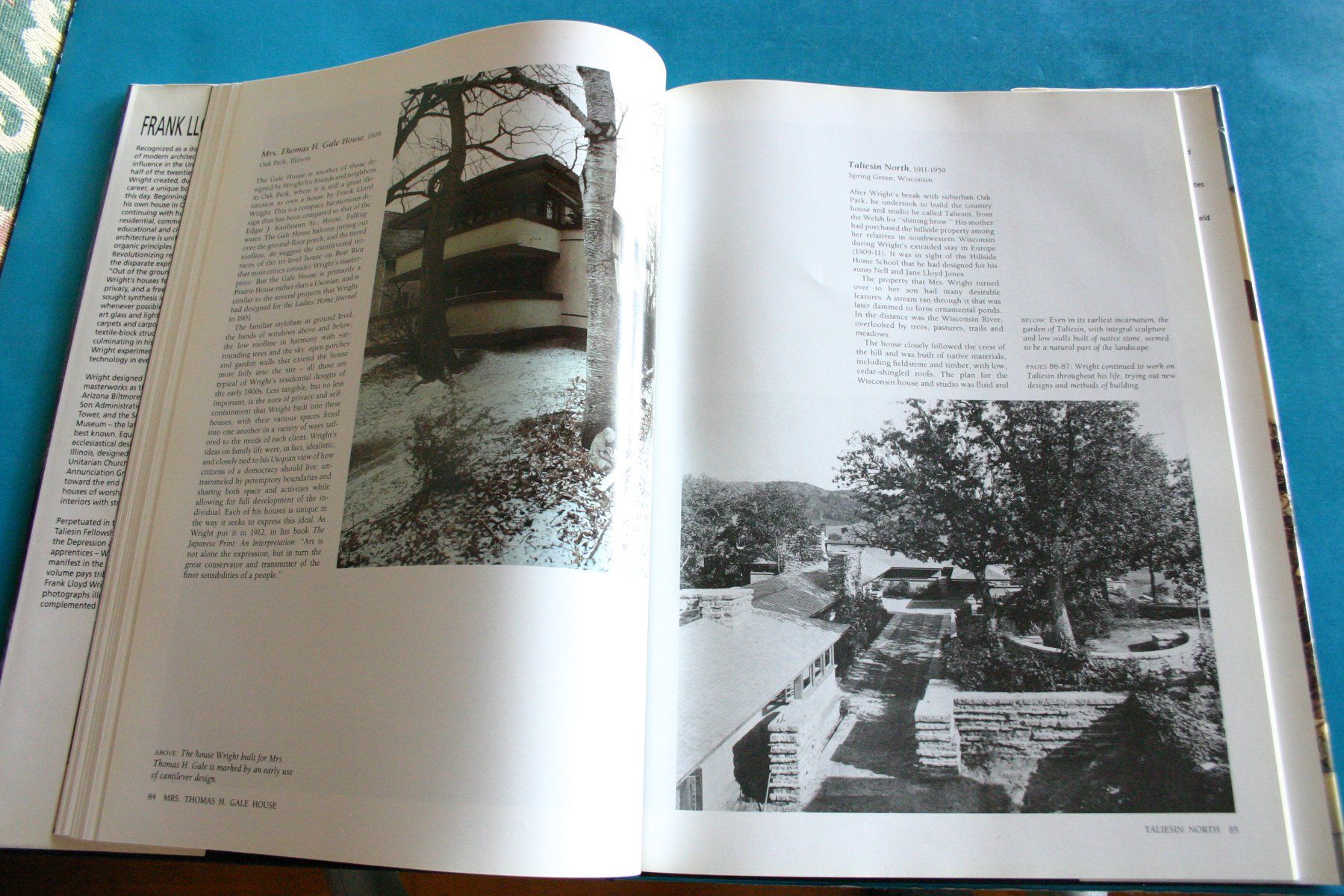 Libri: FRANK LLOYD WRIGHT ARCHITECT FOR THE TWENTIETH CENTURY – Usato da Winkel venduto da franzxaver60 7