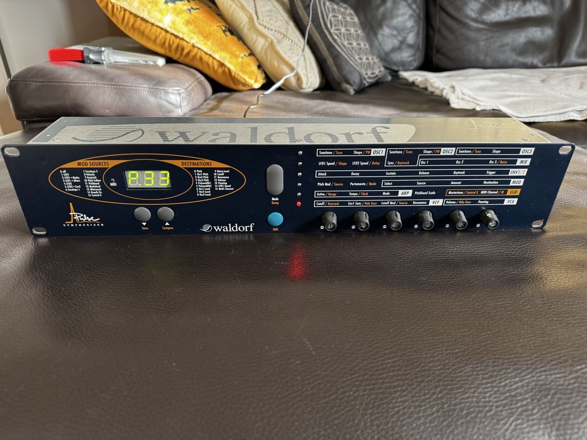 Waldorf Strumenti musicali: Waldorf Pulse 1 - mit Don Solaris Soundset – Usato da Zürich venduto da 1cut2 1