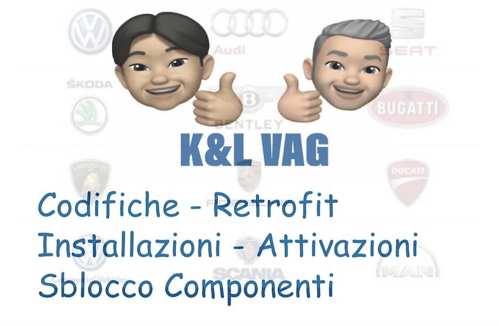 Veicoli da campeggio: Vcp, Odis e Vcds Codifiche per: Audi, Seat, Skoda e VW – Usato da Lugano venduto da VagSpecialist79