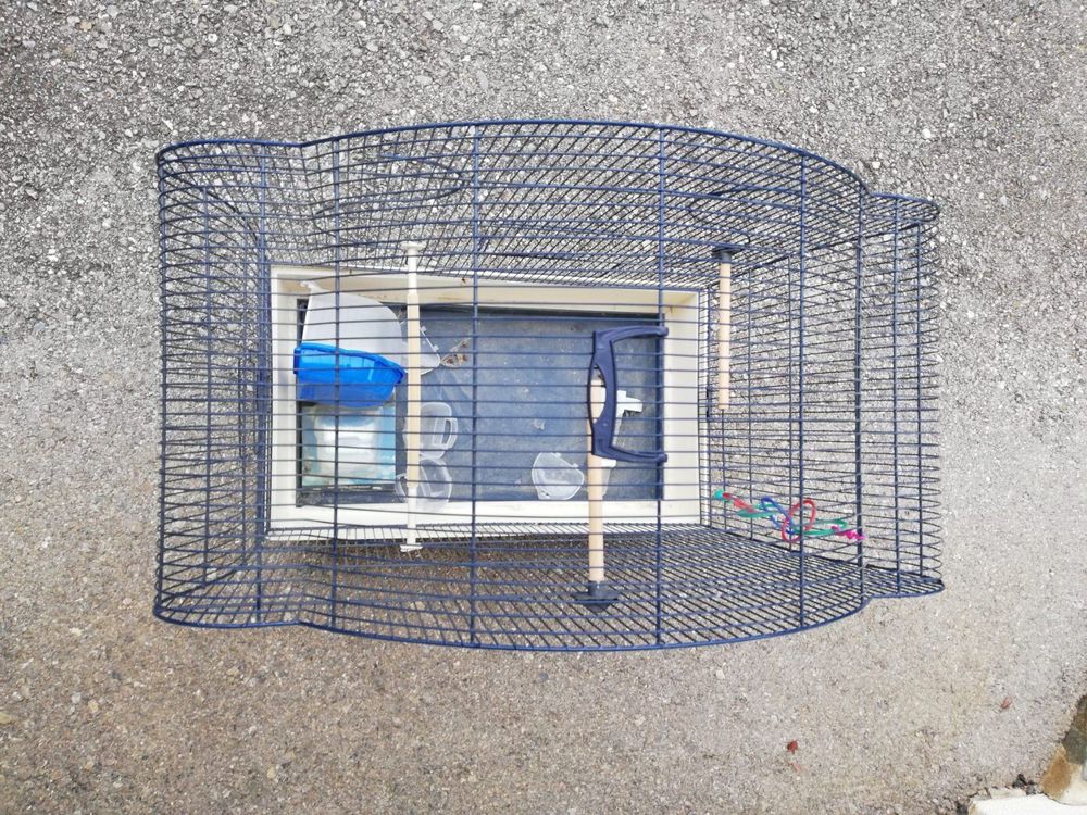 Iles Marshall 1990 Oiseaux Kaufen Auf Ricardo