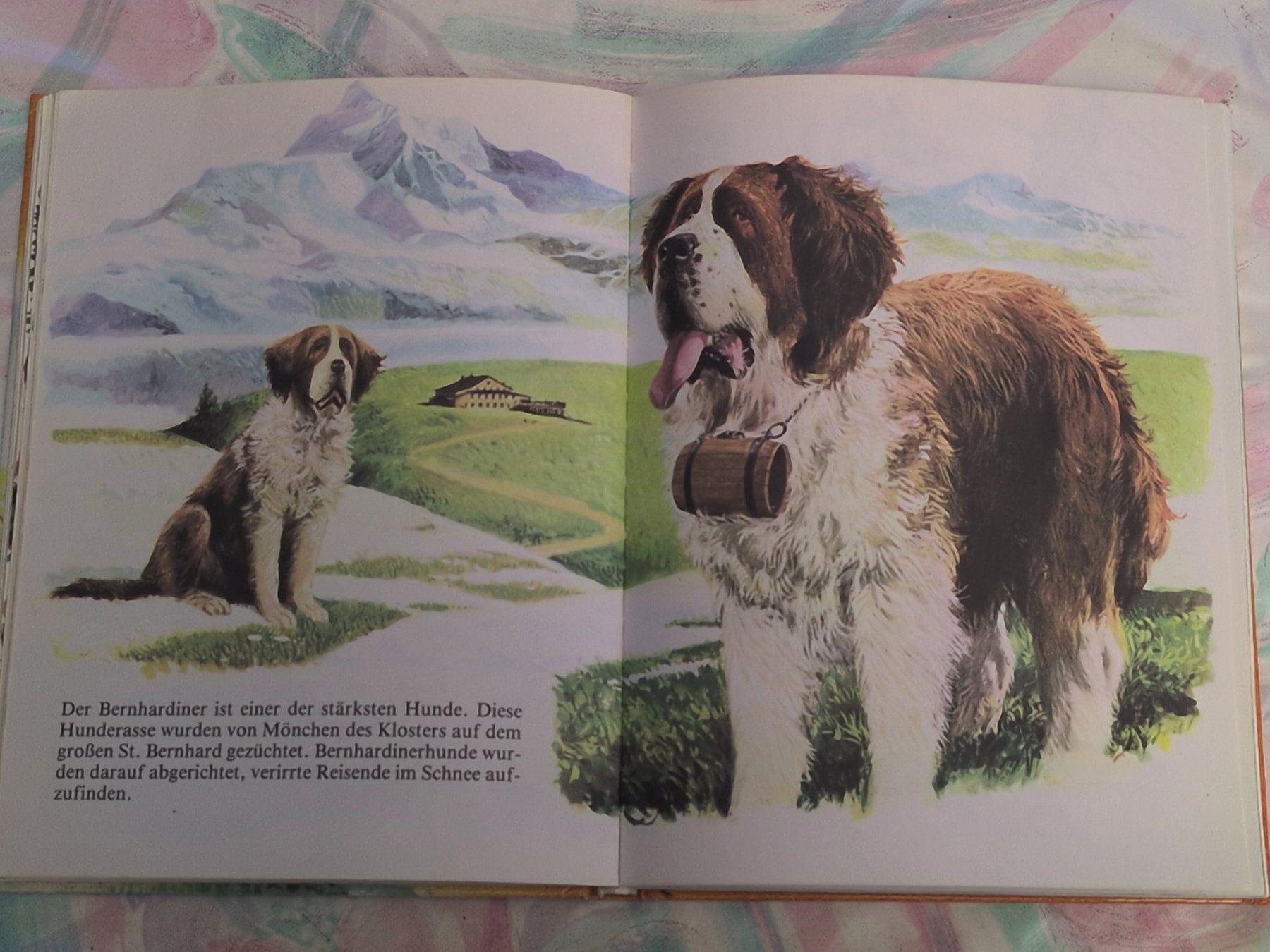 Livres: Tiere aus aller Welt – D'occasion à Ottikon par sobsale 2