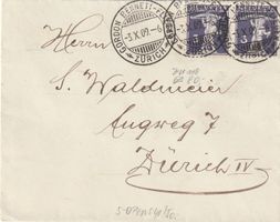 Zu. Nr. 118  im Paar auf Brief