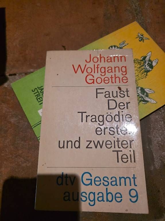 Livres: Goethe, Platon, Freud – D'occasion à Lugano par big_t6x6
