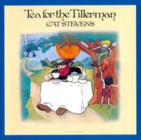 CAT STEVENS - TEA FOR THE TILLERMAN (CD Remaster)