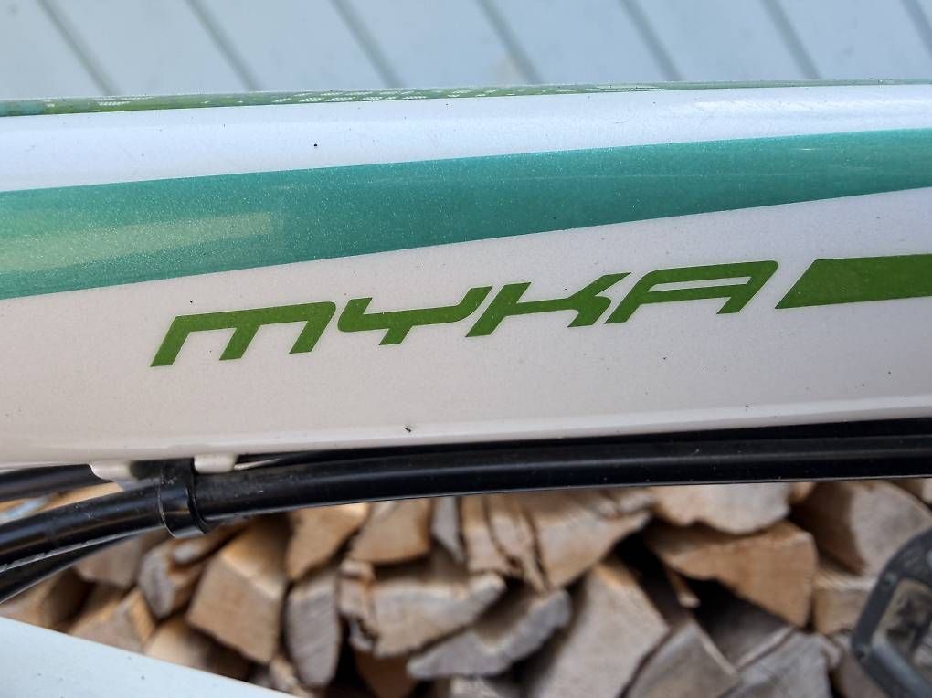 Specialized Biciclette: Fahrrad Specialized 26" – Usato da Dottikon venduto da Skyylark 1