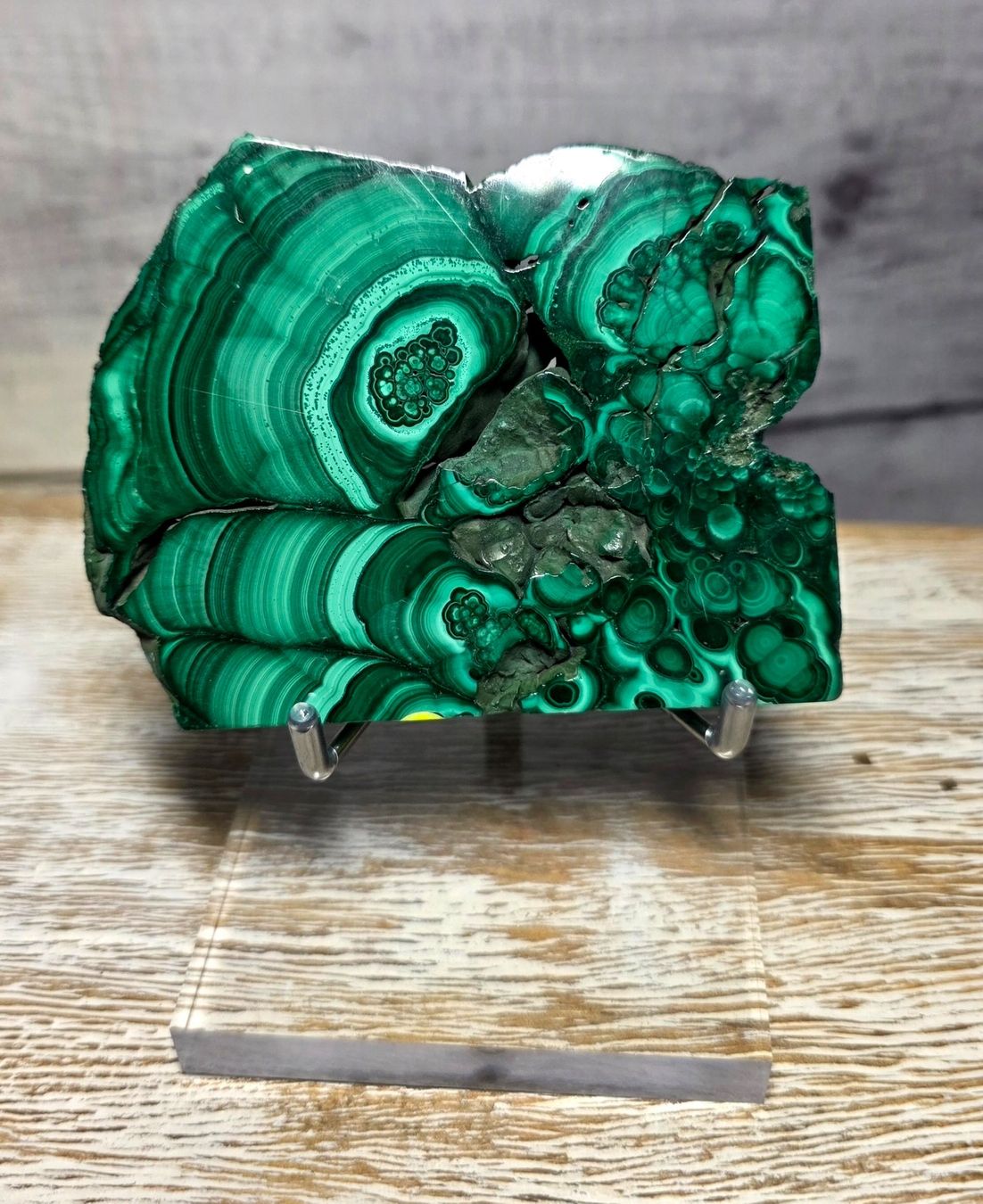 Minerali & Pietre curative: Malachit Scheibe auf Acrylstand 148g – Nuovo e nell'imballaggio originale da Matzingen venduto da Shay_Crystalz