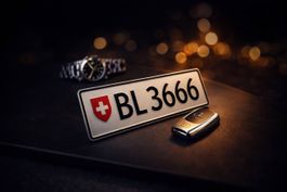 Autonummer BL 3666
