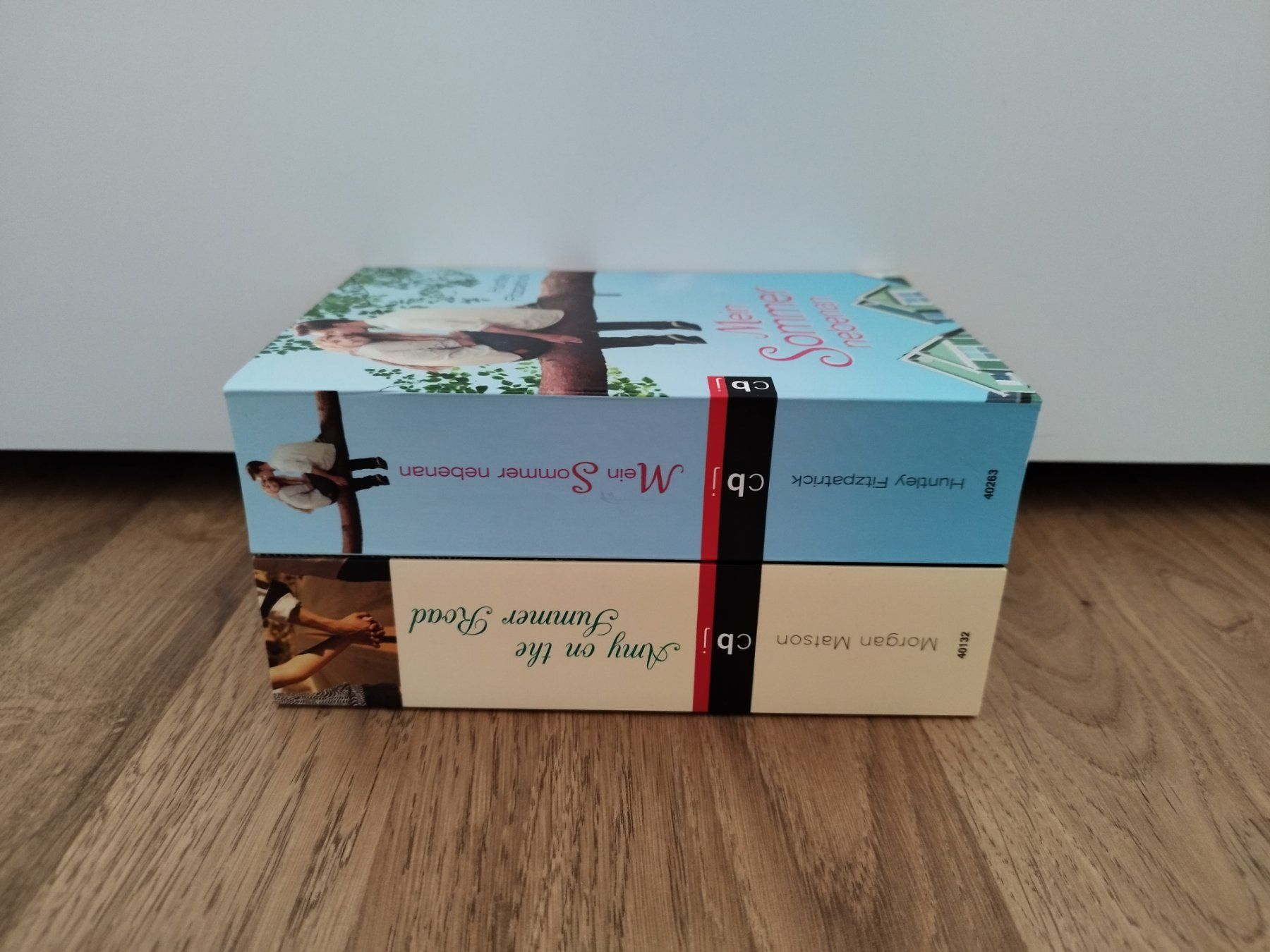 Libri: Matson, Fitzpatrick: Jugendbücher,  Sommerlektüre – Usato da St. Gallen venduto da Bookaholicgirl 2