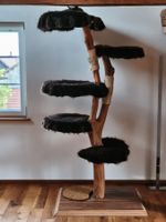 Kratzbaum Holzstamm mit Pelzauflagen (1.96m)